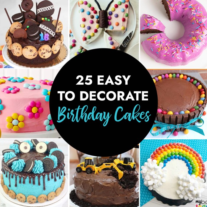 Decoration Ideas for Birthday Cake Sweet Success